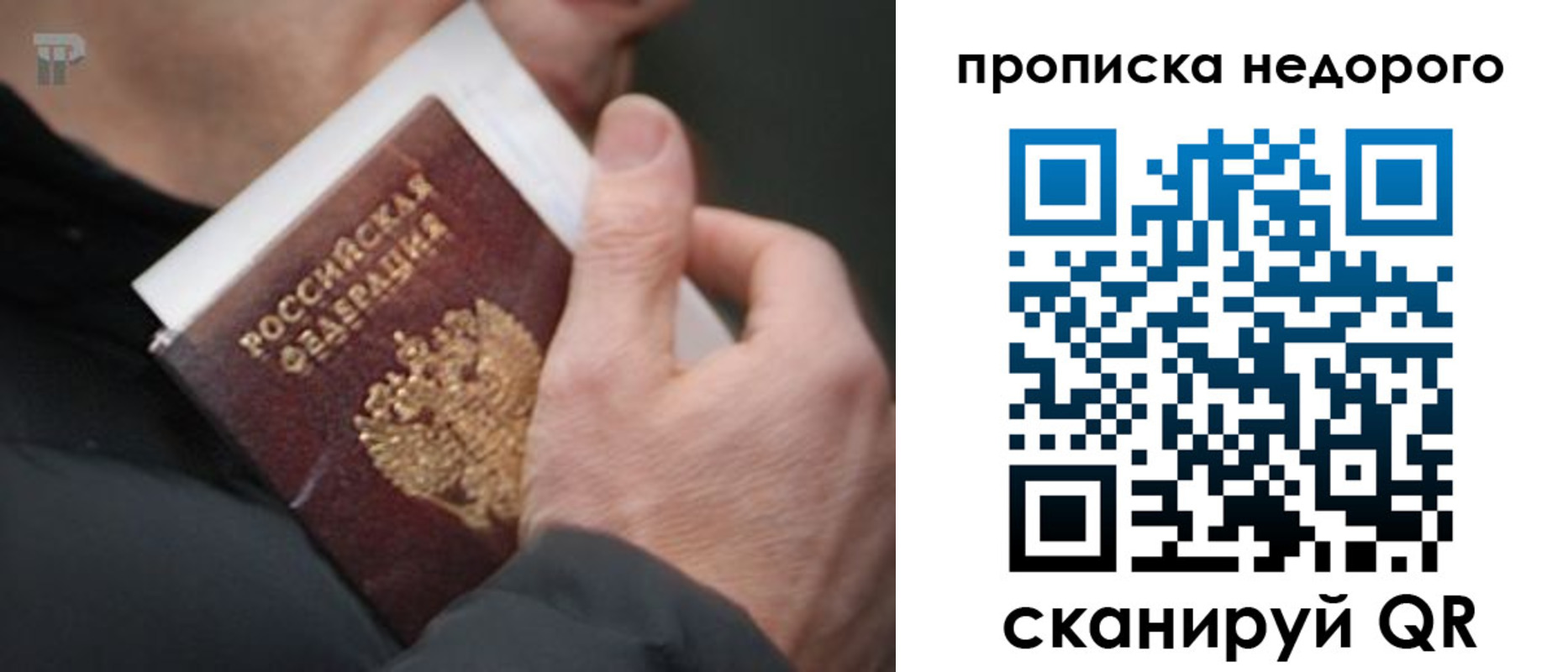 временная регистрация гарантия в Балтийске